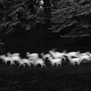 畑山夏树生孩子
