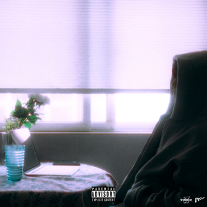 畑山夏树生孩子
